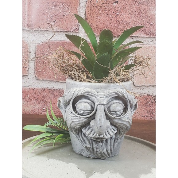 Cement Old Man Face Planter Pot, Concrete Man with Glasses Succulent Planter - Picture 4 of 10